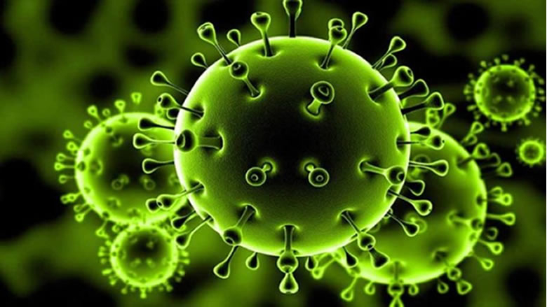 وزارة الصحة: كيفية الوقاية من فيروس الكورونا وطرق العلاج ...