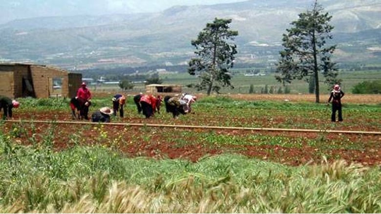 إجراءات جديدة للعمل بها في المزارع والأسواق والمؤسسات الزراعية