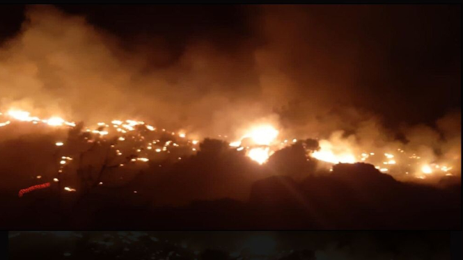 محافظ بيروت طلب من فوج الإطفاء المؤازرة في إخماد حريق بشامون