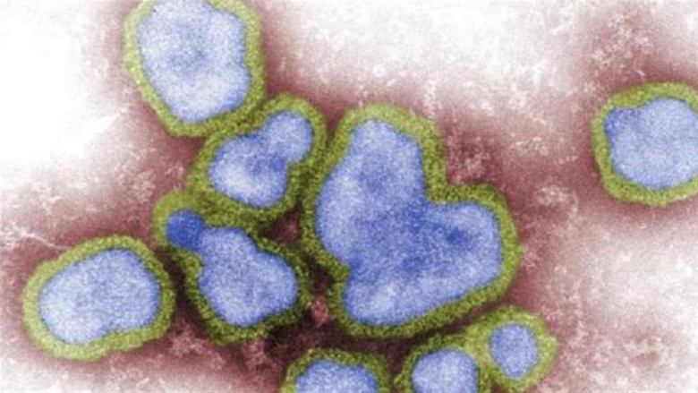 رصد إصابة بشريّة بسلالة إنفلونزا الطيور "H5N6" في الصين