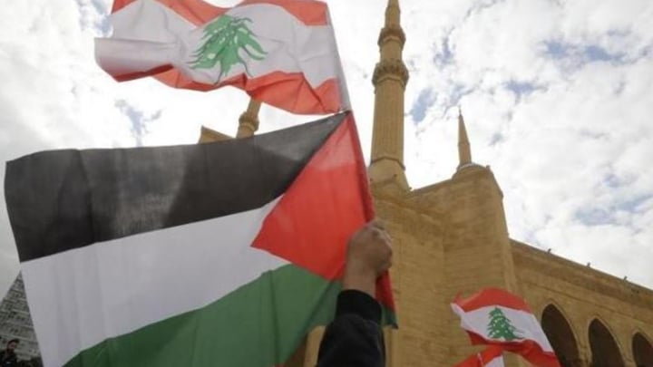 نكبة لبنان ونكبة فلسطين