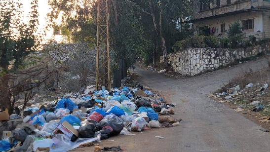 النفايات تجتاح الطرقات أمام عجز البلديات
