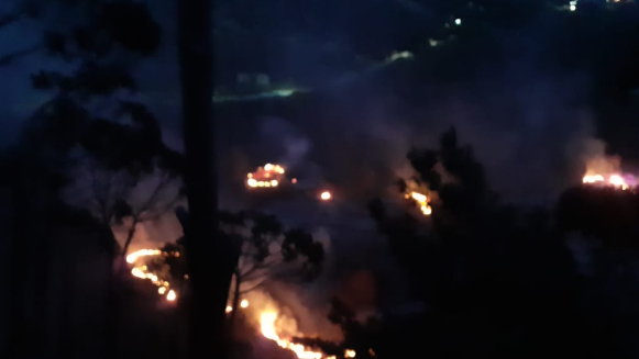 بالفيديو: إندلاع حريق كبير في الأحراج بين بمهريه ومشقيتي.. ومناشدة