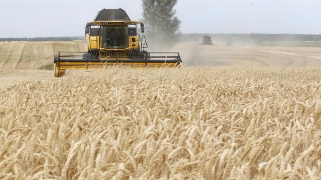 البنك الدولي يوافق على قرض طارئ لدعم استيراد القمح إلى لبنان