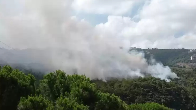 بالفيديو: طوافات الجيش تساهم في عمليات إخماد حريق روميه