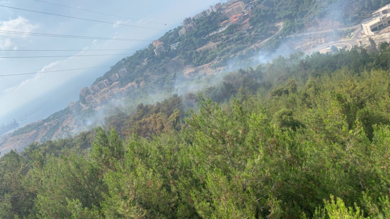بالصّور: السيطرة على النيران في أحراج روميه