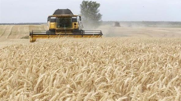 أوكرانيا تستأنف تصدير الحبوب من موانئها