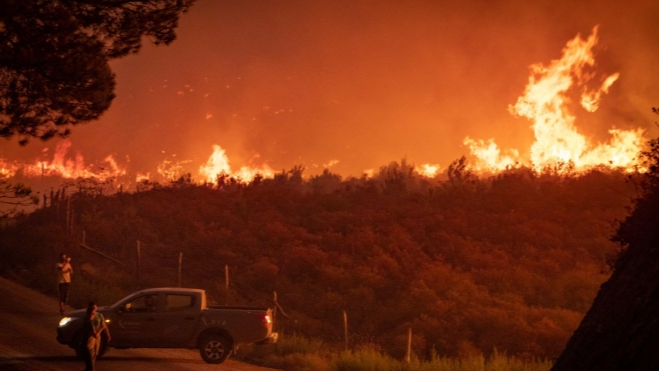 وفاة 26 شخصا جراء حرائق الغابات شمال الجزائر