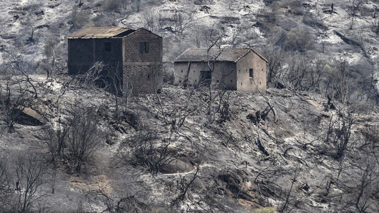 الجزائر تعلن "السيطرة الكاملة" على حرائق الغابات