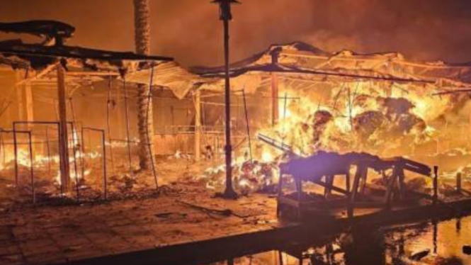 حريق سوق البالة في طرابلس... مفتعل أم مسّ كهربائي؟