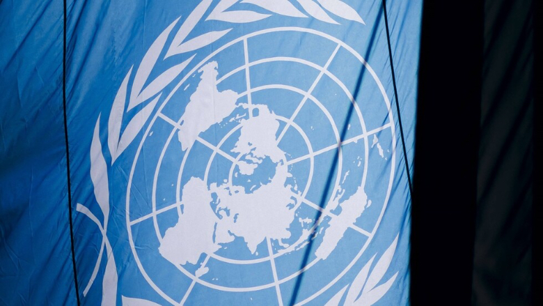 مقررة أممية: الهجمات الإسرائيلية ضد الأمم المتحدة "جبن أخلاقي"