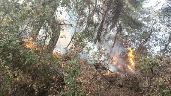 حريقٌ في مزبود والدفاع المدني يطلب المساعدة