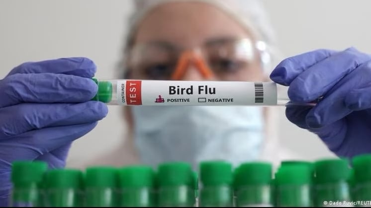 في الصين.. أول وفاة بشرية بمتحور جديد من إنفلونزا الطيور