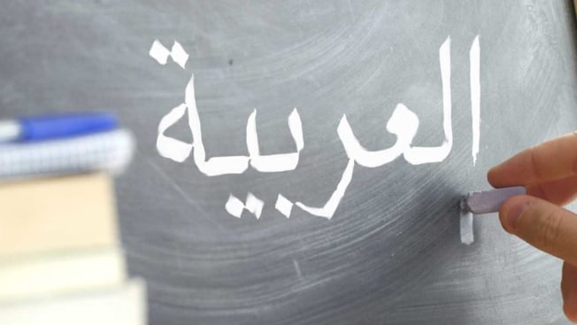 العربيّة جميلة… اسألوا نوح!