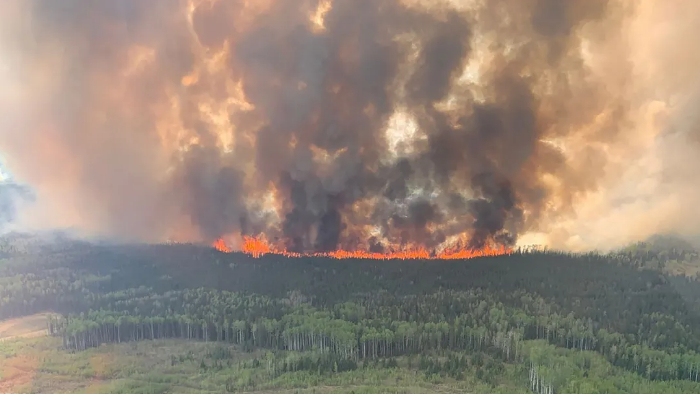 لماذا تتكرر وتتوسع حرائق الغابات في كندا؟