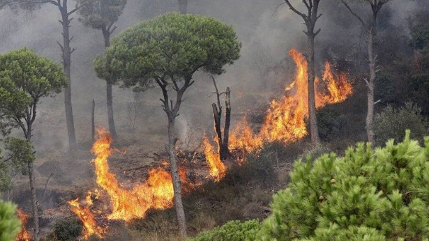 وزارة البيئة تطلب إتخاذ اجراءات قصوى للحد من خطر الحرائق
