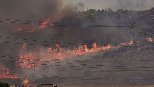 الحرائق تجتاح غابات اليونان