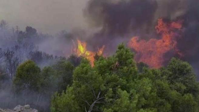 حريق الغابات الضخم بهاواي.. إرتفاعٌ في حصيلة الضحايا!
