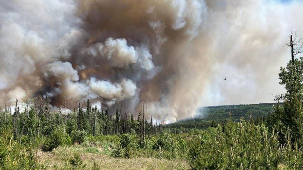 حرائق الغابات في كندا تسببت في انبعاث ثاني أكسيد الكربون