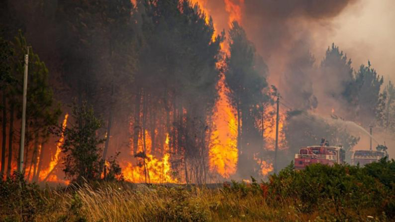 الحرائق تلتهم 600 هكتار من الغابات في اسبانيا