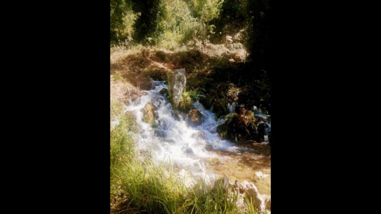 بعد معاناة وطول انتظار....  أبو الحسن: أزمة شحّ المياه إلى انفراج