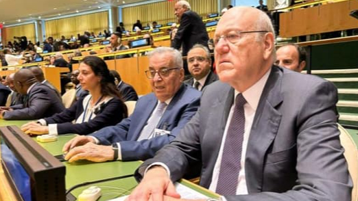 في سابقة.. بو حبيب يُصدر قراراً بمعاقبة مندوبة لبنان في الأمم المتحدة