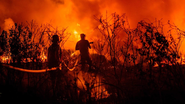 حرائق الغابات تجتاح ولاية أسترالية