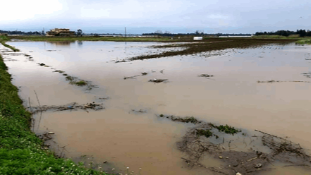 بالفيديو: فيضانات وسيول وانهيارات... والمياه تحاصر قرى عكارية