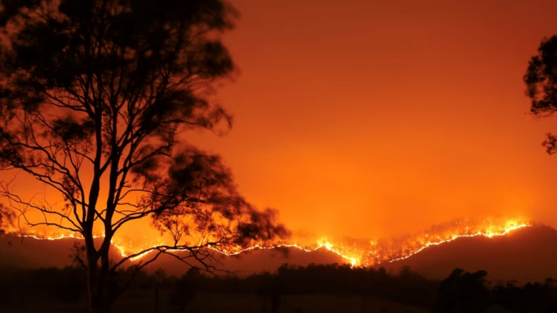 في أستراليا... حرائق الغابات تدمر عددا من المنازل
